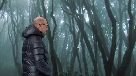 AI Video from prompt: walks through the forest