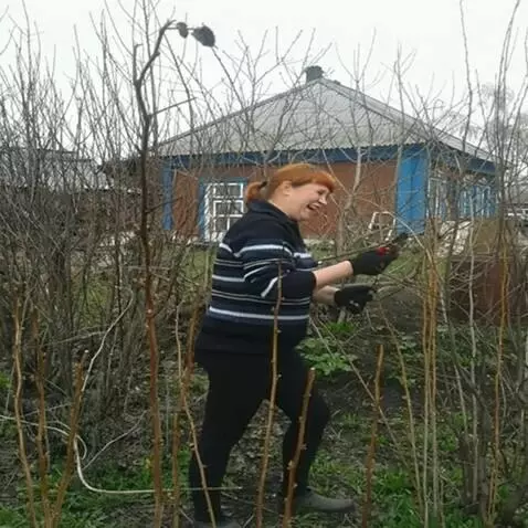 AI Video from prompt: He laughs like a horse and starts gnawing on bra