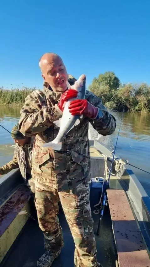 AI Video from prompt: A man eats a fish. A dolphin jumps out of the wa