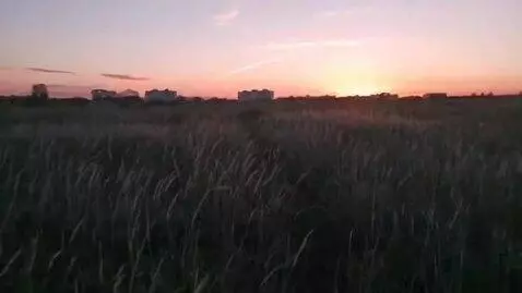 AI Video from prompt: A single, unbroken, first-person shot in a highl