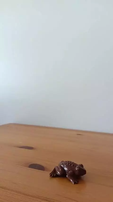 AI Video from prompt: Using the attached photo of a package with a cho