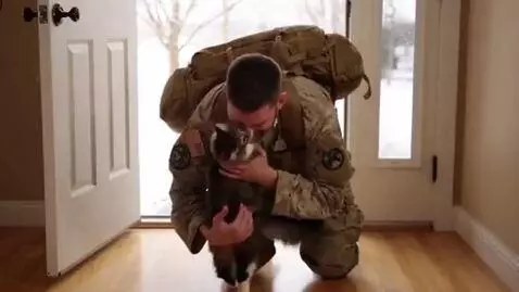 AI Video from prompt: A military man returns home. His cat gets surpri