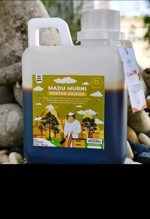 AI Video from prompt: A realistic line-art image of an acacia forest h