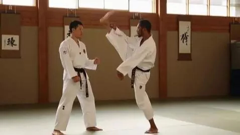 AI Video from prompt: Neryo-chagi is a top-down strike, a chopping blo