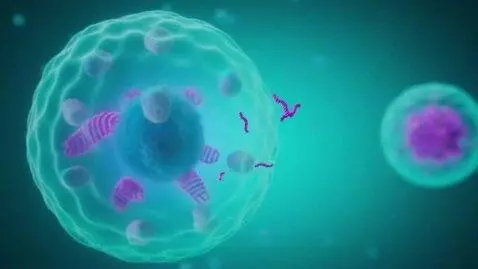 AI Video from prompt: A stylized scientific animation. A whole cell wi