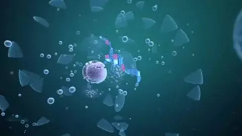 AI Video from prompt: A whole cell with a nucleus (DNA) is shown -> th