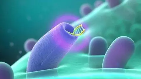 AI Video from prompt: DNA fragments bind to the receptors of living ce