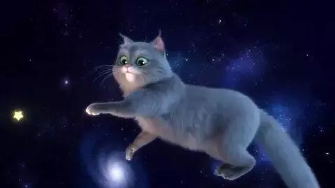 AI Video from prompt: Space-themed animation, a cat floating in outer 