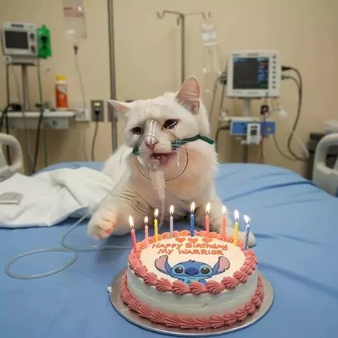 MiniMax Hailuo-02 (pro) video