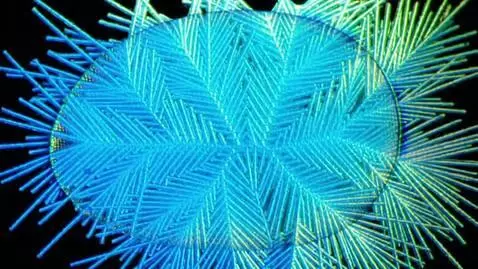 AI Video from prompt: Time-lapse sped up 1000x, macro view through a m