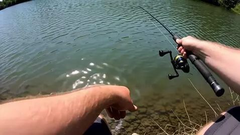 AI Video from prompt: Create a realistic video scene from a first-pers