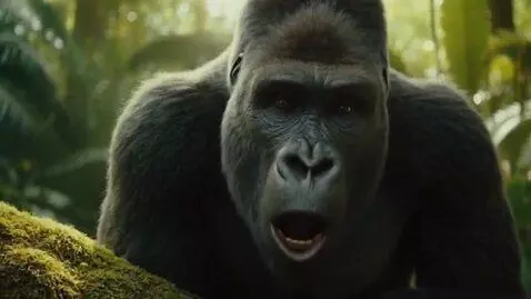 AI Video from prompt: make a video of a gorilla saying "where are my  