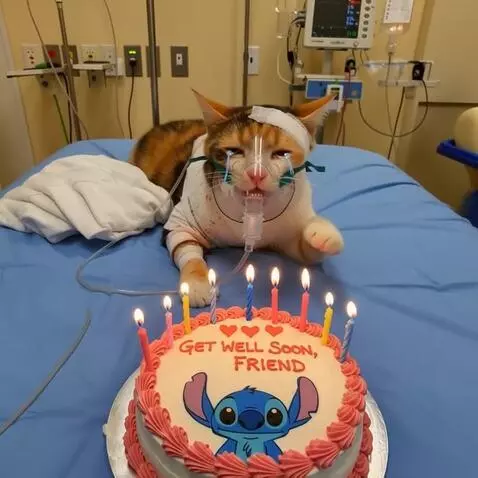 MiniMax Hailuo-02 (pro) video