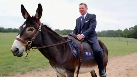 AI Video from prompt: president trump riding a donkey