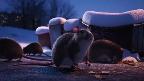 AI Video from prompt: Scene: Late winter evening, dusk. Kamchatka, on 