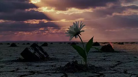 AI Video from prompt: I need a melancholic uplifting video with catacl