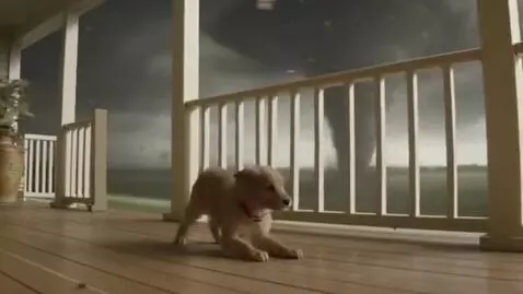 AI Video from prompt: a puppy blows onto the porch in a huge tornado (