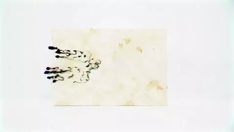 AI Video from prompt: Nuclear degradation, talian metamorphic unhinged