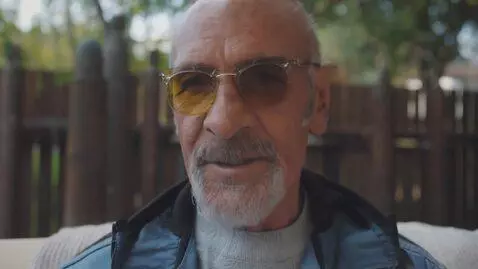 AI Video from prompt: flies on models face