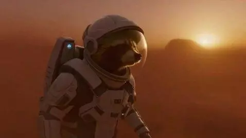 AI Video from prompt: Cinematic shot. A raccoon astronaut in a detaile