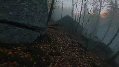 AI Video from prompt: A horizontal video with a first-person view. The