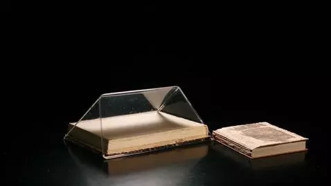 AI Video from prompt: **Video sequence (can be made from a selection o