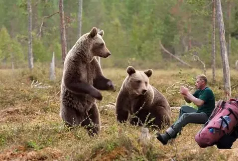 AI Video from prompt: I play the harmonica and the bears clap their ha