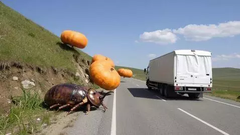 AI Video from prompt: truck driving on highway, giant cockroach is wal
