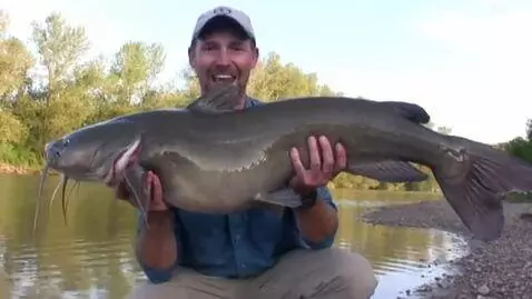 AI Video from prompt: The fisherman caught a huge catfish.