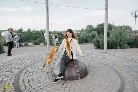 AI Video from prompt: Twelve foxes run out of the bushes and jump into