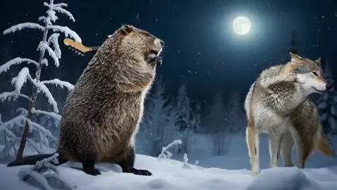 AI Video from prompt: Beaver backhands the wolf with a guitar on the h