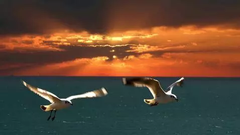 AI Video from prompt: Over the azure sea, the sky sharpened the blood 