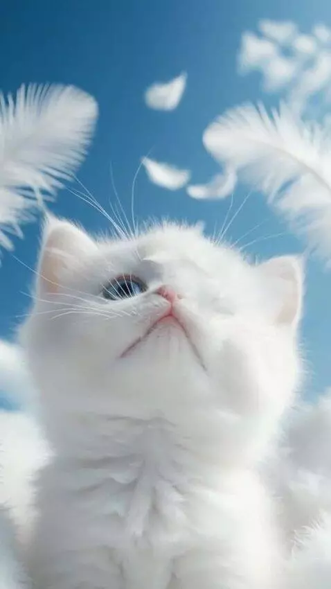 AI Video from prompt: The camera slowly moves away from the kitten, wh