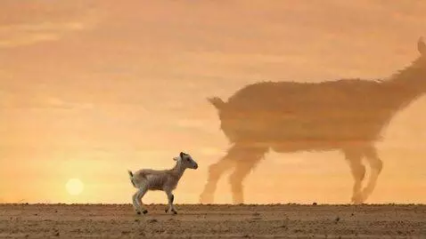 AI Video from prompt: {   "video": {     "title": "The Goat vs His Own