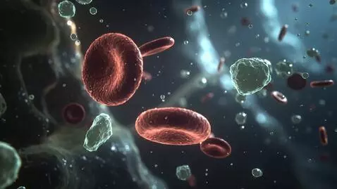 AI Video from prompt: Inside human bloodstream, diluted blood cells, s