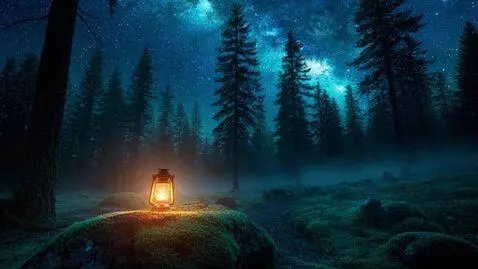 AI Video from prompt: A cinematic, hyper-realistic night forest scene 