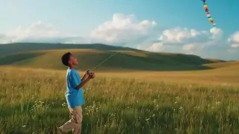 AI Video from prompt: Boy is the same thing