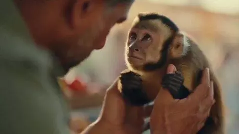 AI Video from prompt: The shopkeeper finally catches the monkey gently