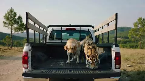 AI Video from prompt: Dog diving a truck two tigers in the back