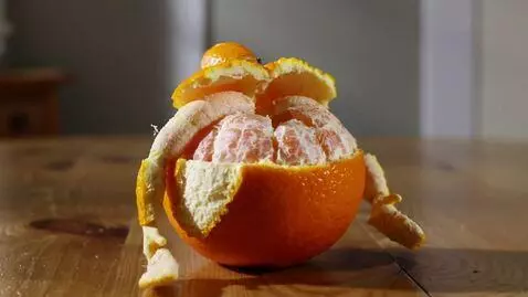 AI Video from prompt: "animation video of a whole orange resting on a 