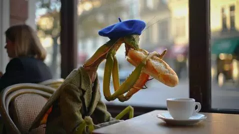 AI Video from prompt: The mantis is sitting at a table in a cafe. He i