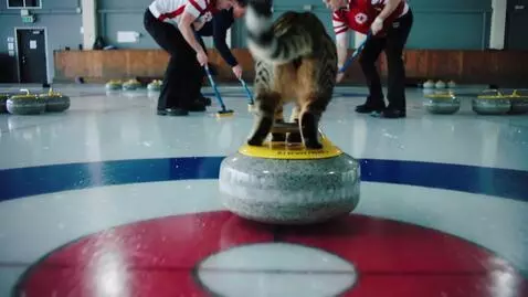 AI Video from prompt: curling championship. The cat launches the rock.