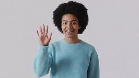 AI Video from prompt: Hi sign video with plain background