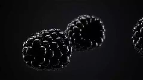 AI Video from prompt: Juicy blackberries, close-up, against a dark bac