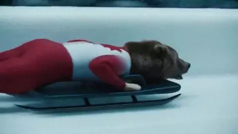 AI Video from prompt: A brown bear in a red-and-white Canadian racing 