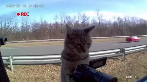 AI Video from prompt: ### SORA 2 — DOORBELL / CCTV FOOTAGE (DAY, ROAD)