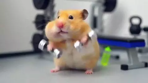 AI Video from prompt: Create a video of a picachu working out and gett