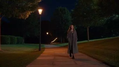 AI Video from prompt: night, park, park path, walk on it, a girl, shor