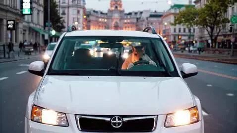 AI Video from prompt: A beautiful capybara is driving a white Mitsubis