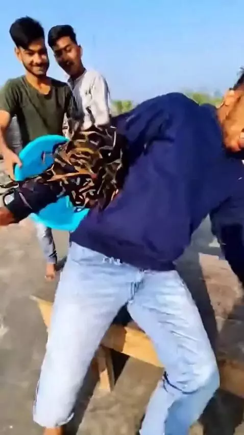 AI Video from prompt: A raw, unplanned iPhone 17 Pro Max video, filmed